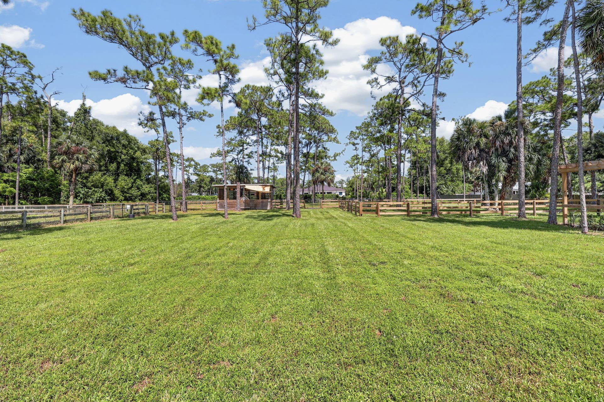13253 Casey Road, Loxahatchee Groves, FL 33470 86-web-or-mls-BS1A4921