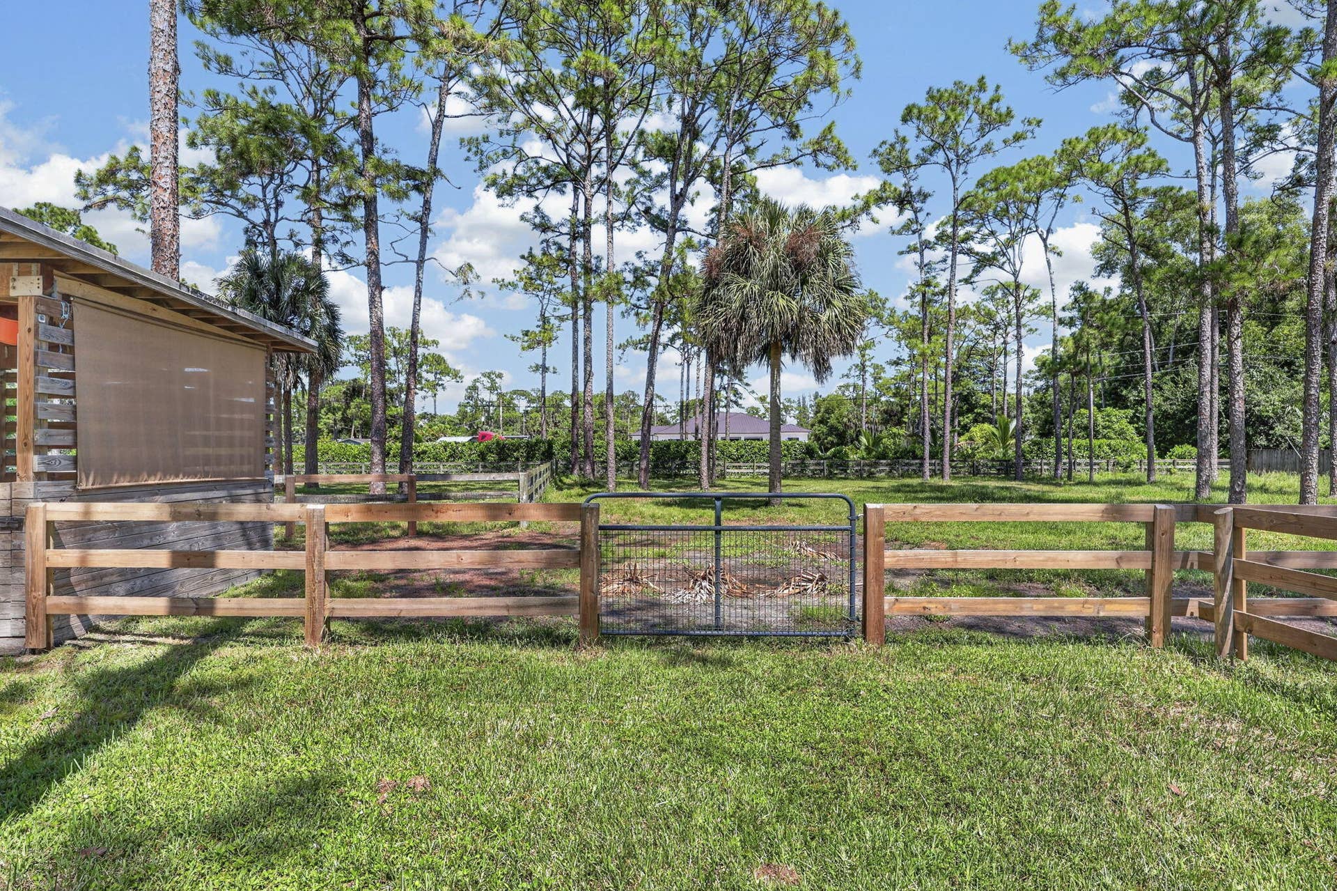 13253 Casey Road, Loxahatchee Groves, FL 33470 75-web-or-mls-BS1A4867