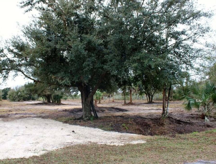 Property photo for 19576 NW 264TH Street, Okeechobee, FL