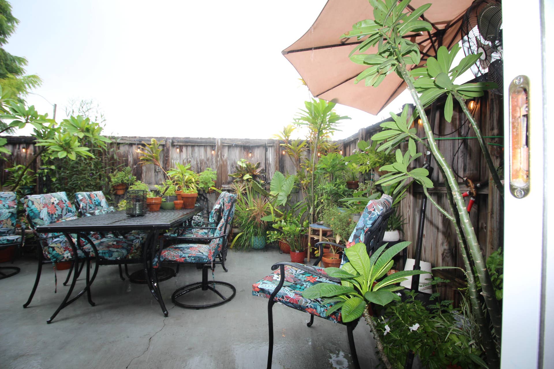 724 NE 23RD Drive, Wilton Manors, FL 33305 patio
