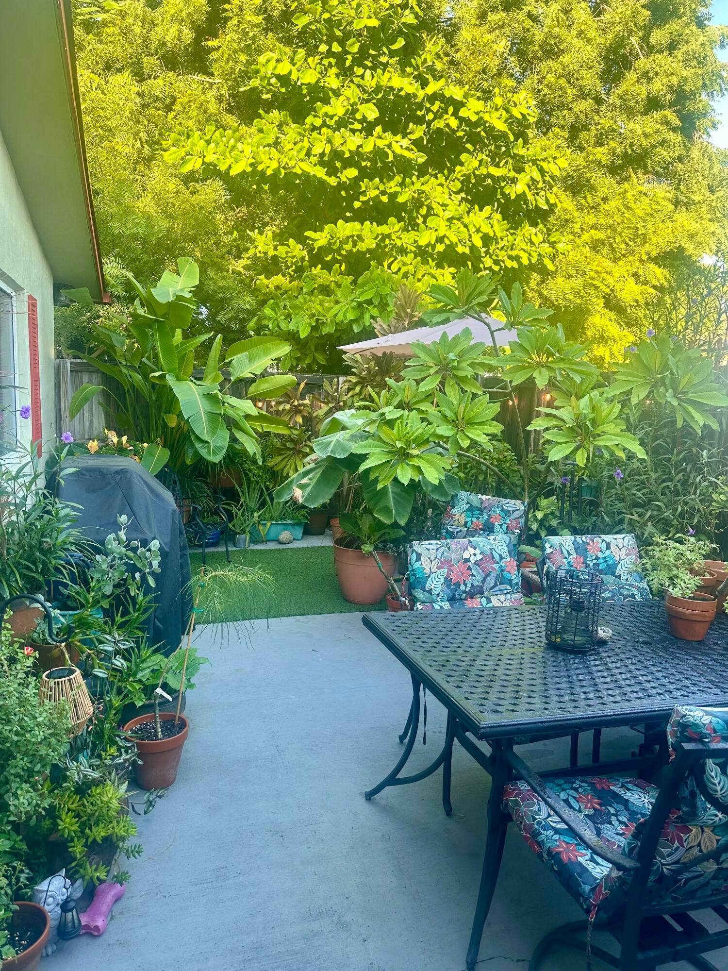 724 NE 23RD Drive, Wilton Manors, FL 33305 Fenced in patio