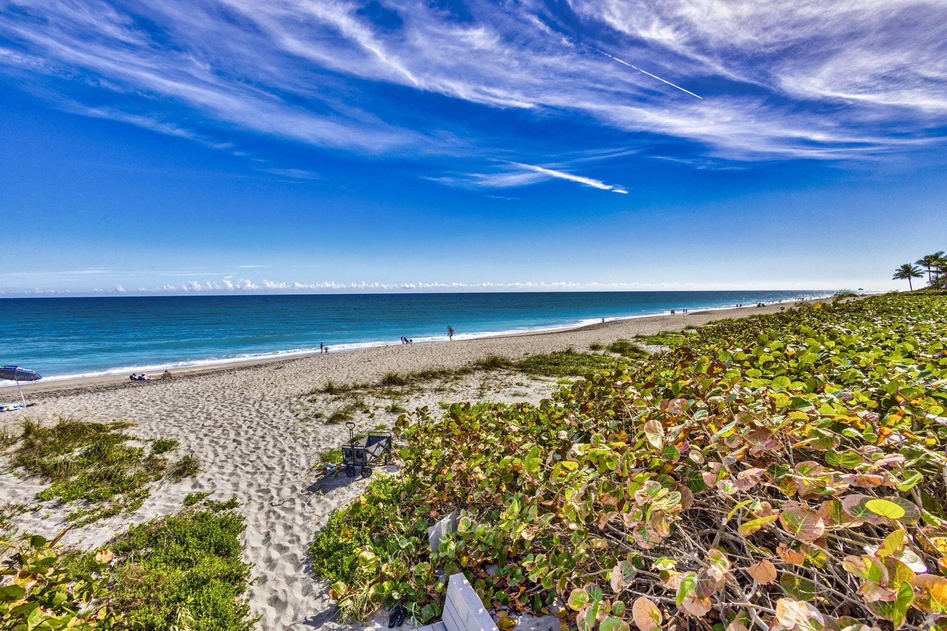 600 Ocean Drive, #9A, Juno Beach, FL 33408 91-web-or-mls-81_5d1a6155_6_7_8_9