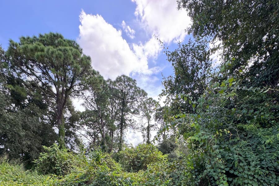 Property photo for 6801 Deland Avenue, Fort Pierce, FL