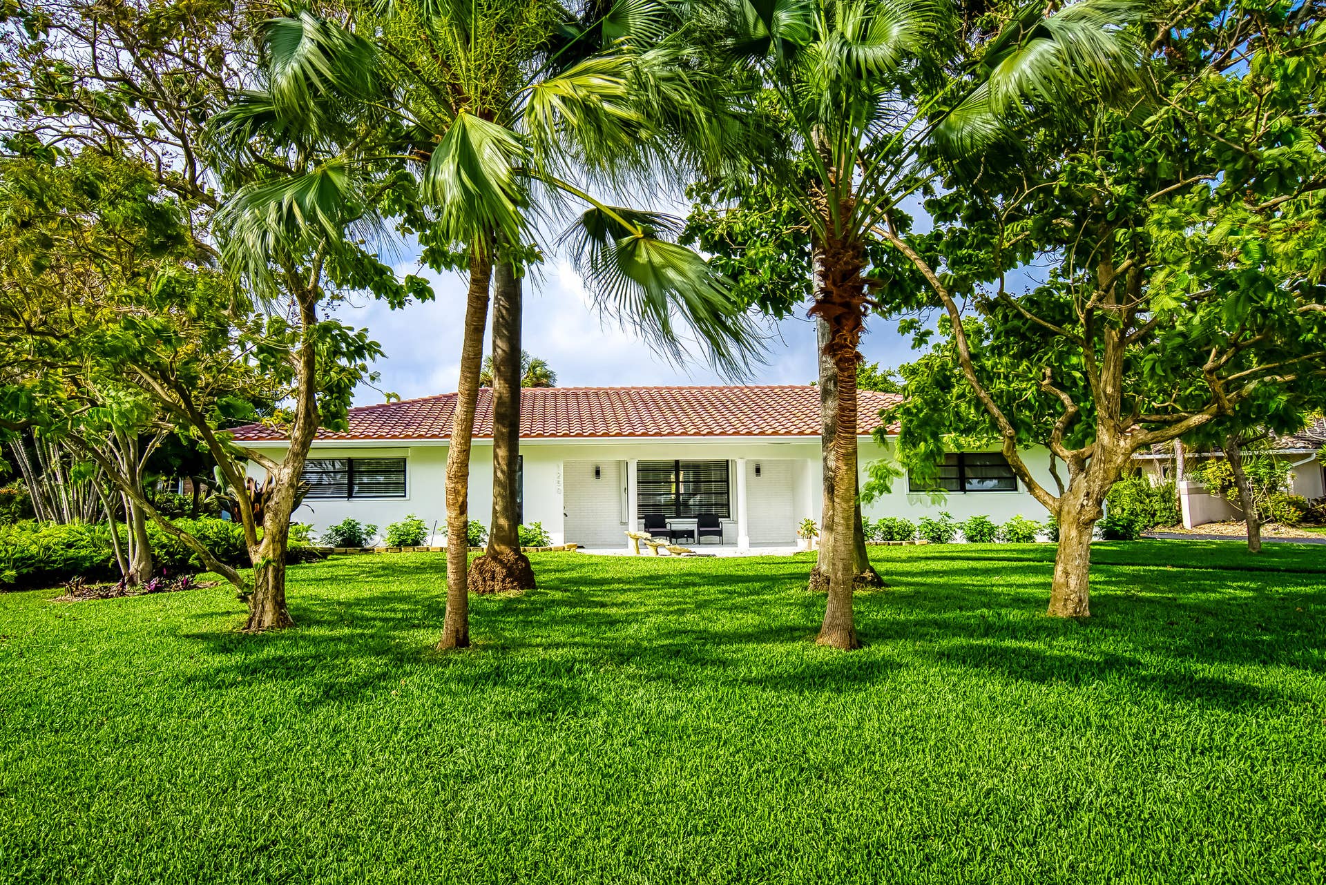 1250 SE 10TH Street, Deerfield Beach, Deerfield Beach, FL 33441 Expansive front lawn with mature palm trees and lush greenery