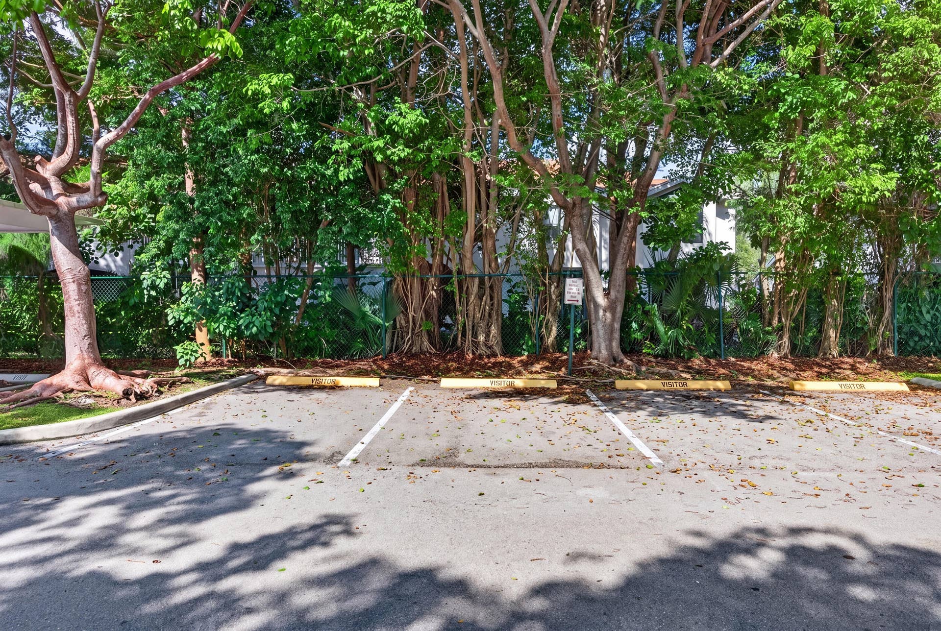 10765 CLEARY Boulevard, #307, Plantation, Plantation, FL 33324 10765 apt 307-32