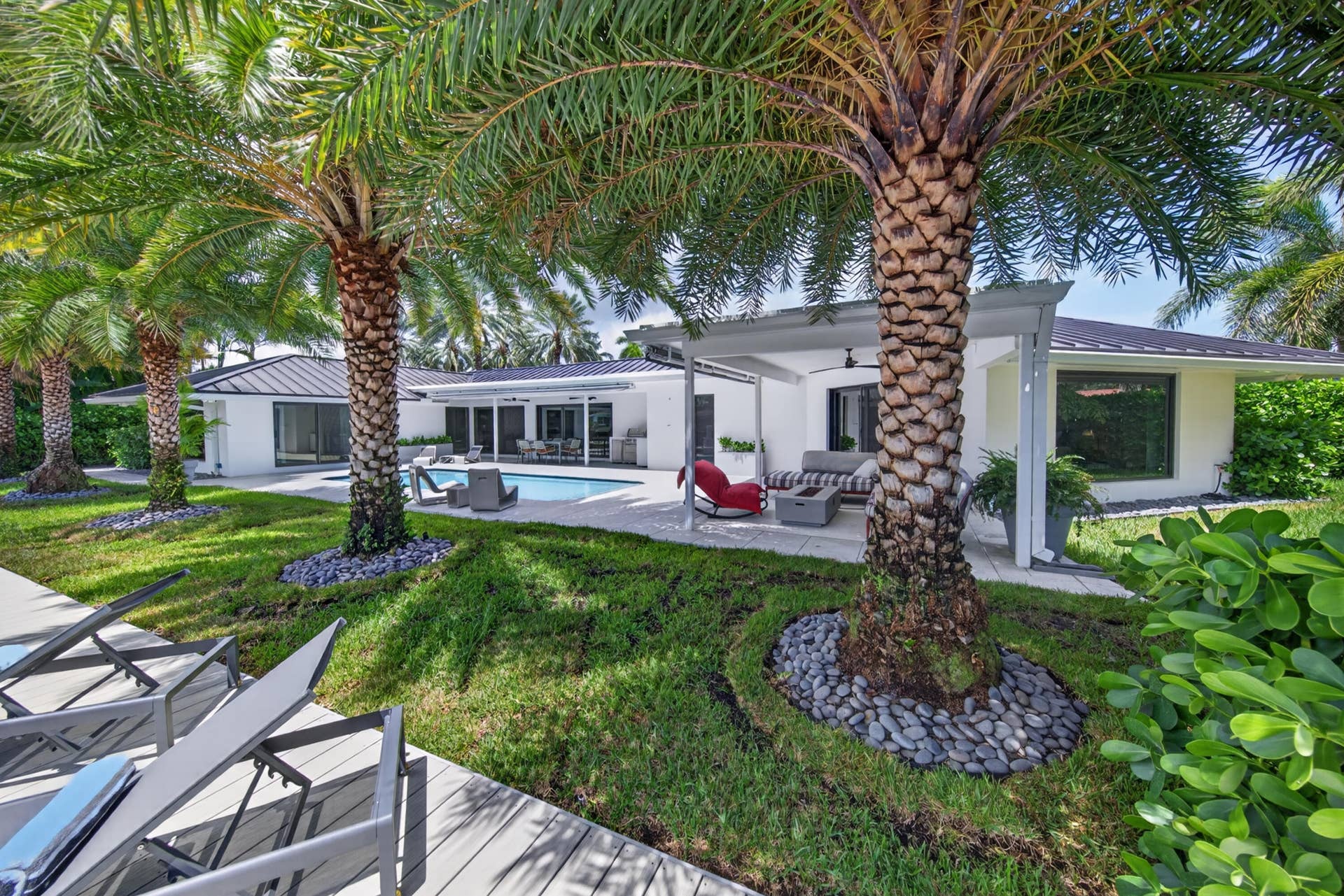 Backyard with gorgeous palm trees