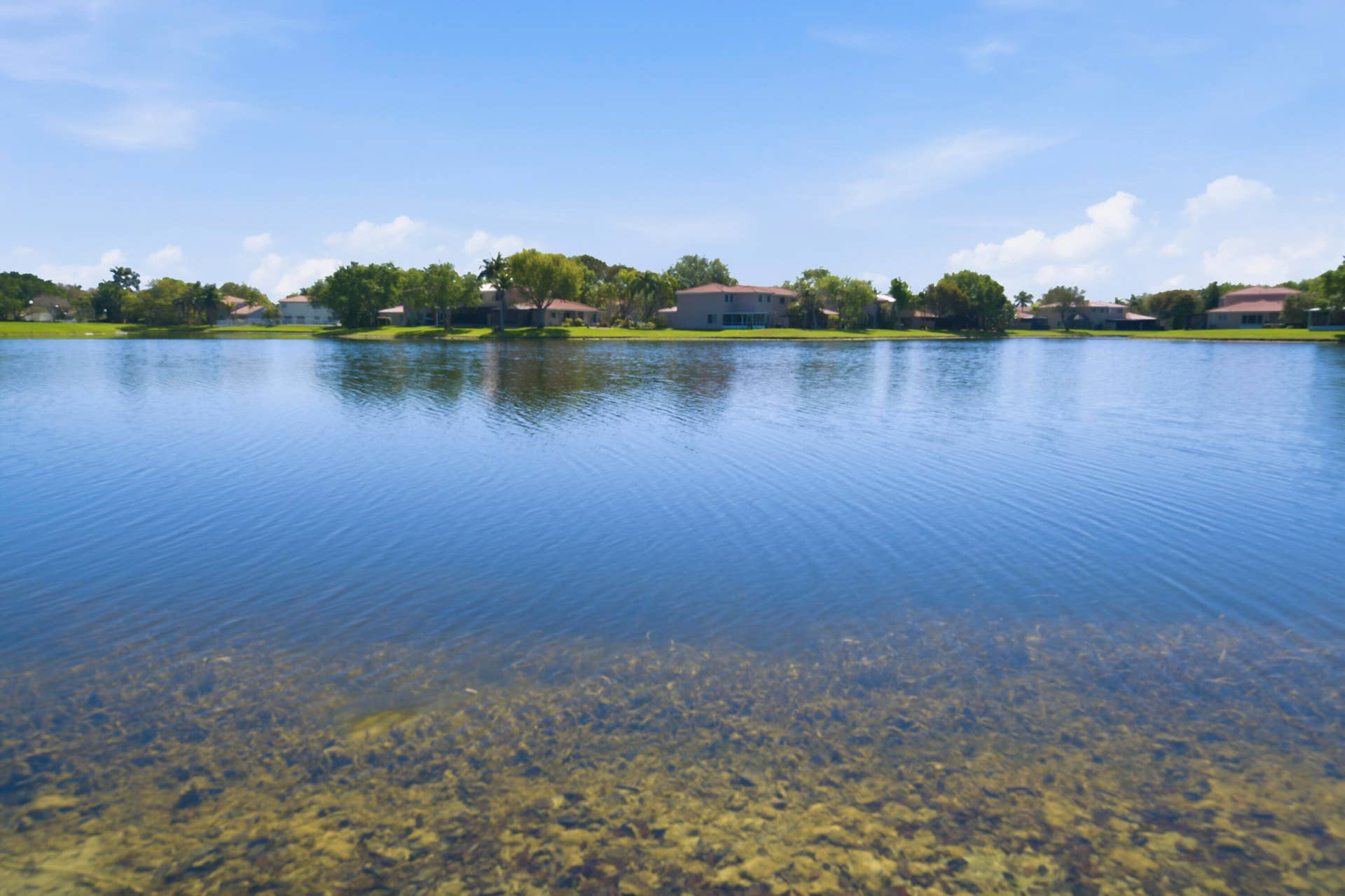 11014 SW 15TH Manor, #-, Davie, Davie, FL 33324 _DSC9308
