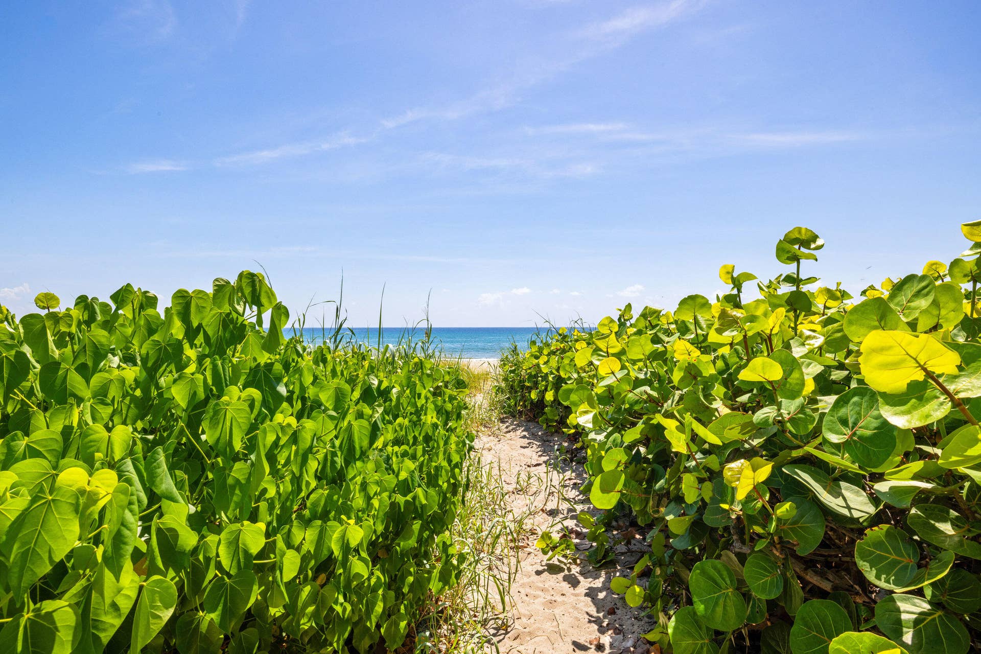 2565 S Ocean Boulevard, #205-N, Highland Beach, FL 33487 PRIVATE BEACH