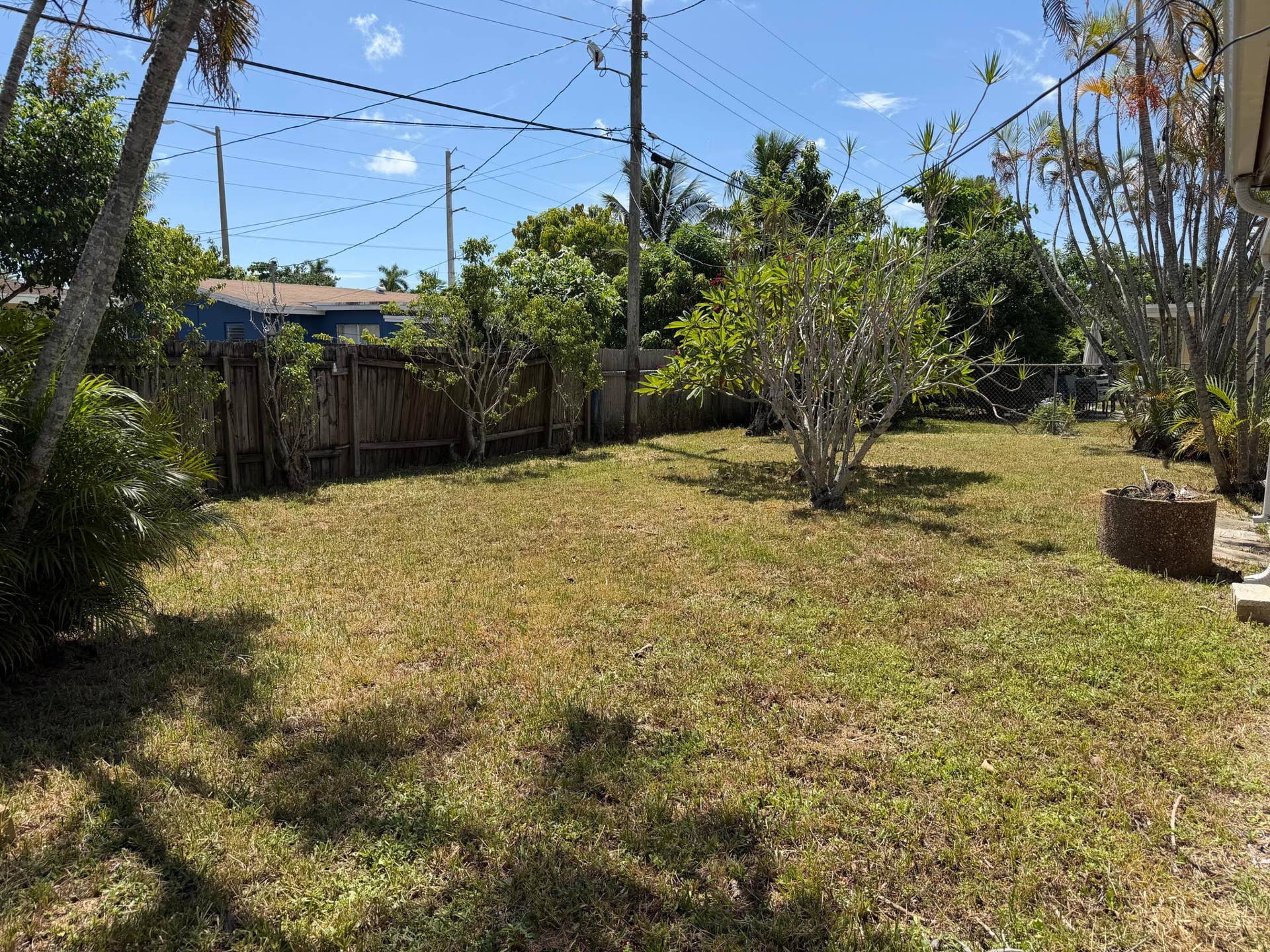 2924 NW 9TH Terrace, Wilton Manors, FL 33311 Expansive grassy yard with a privacy fence and mature landscaping