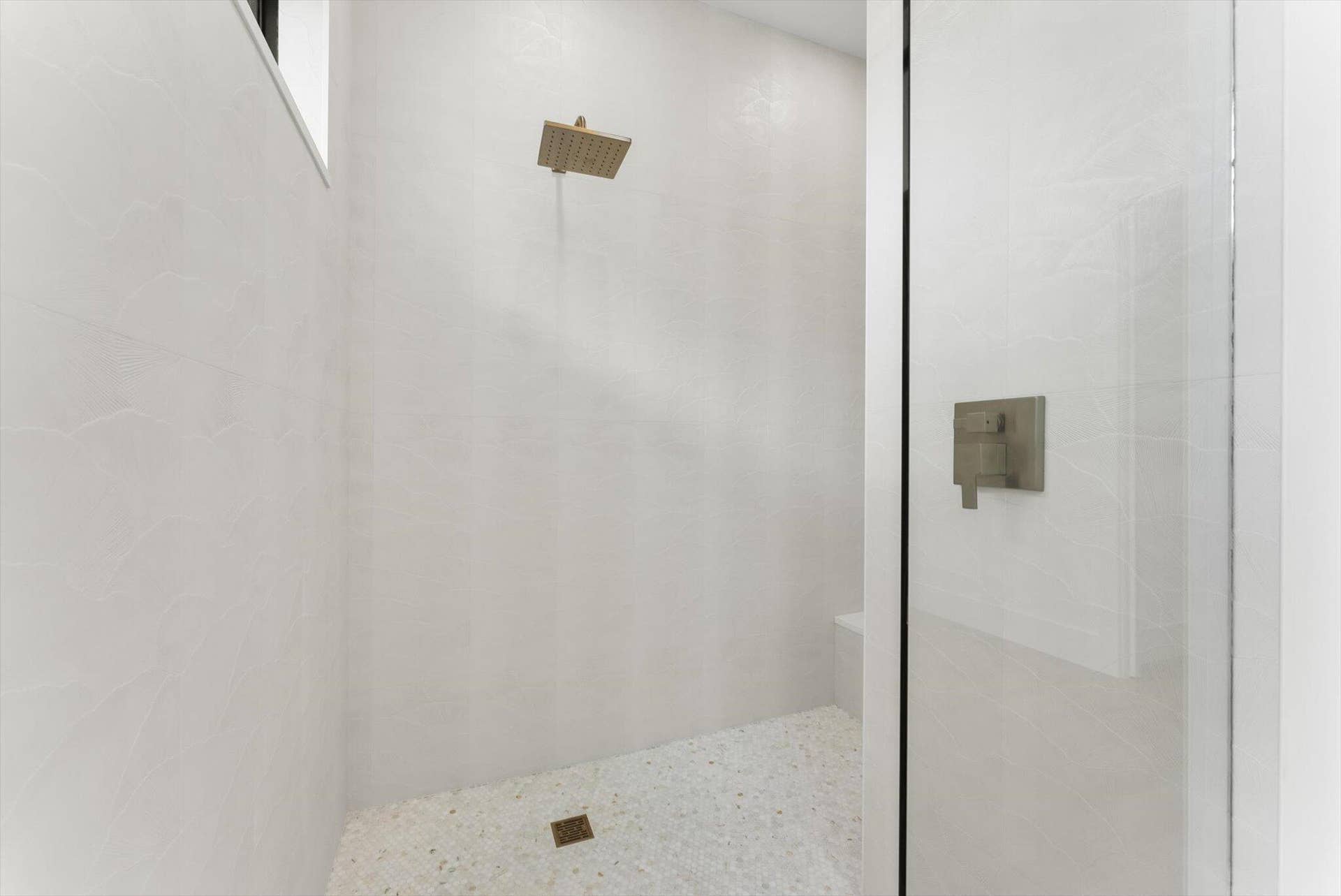 Primary Shower