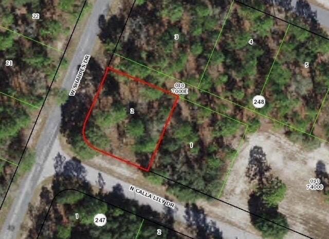 Property photo for 9735 N CALLA LILY Way, Dunnellon, FL