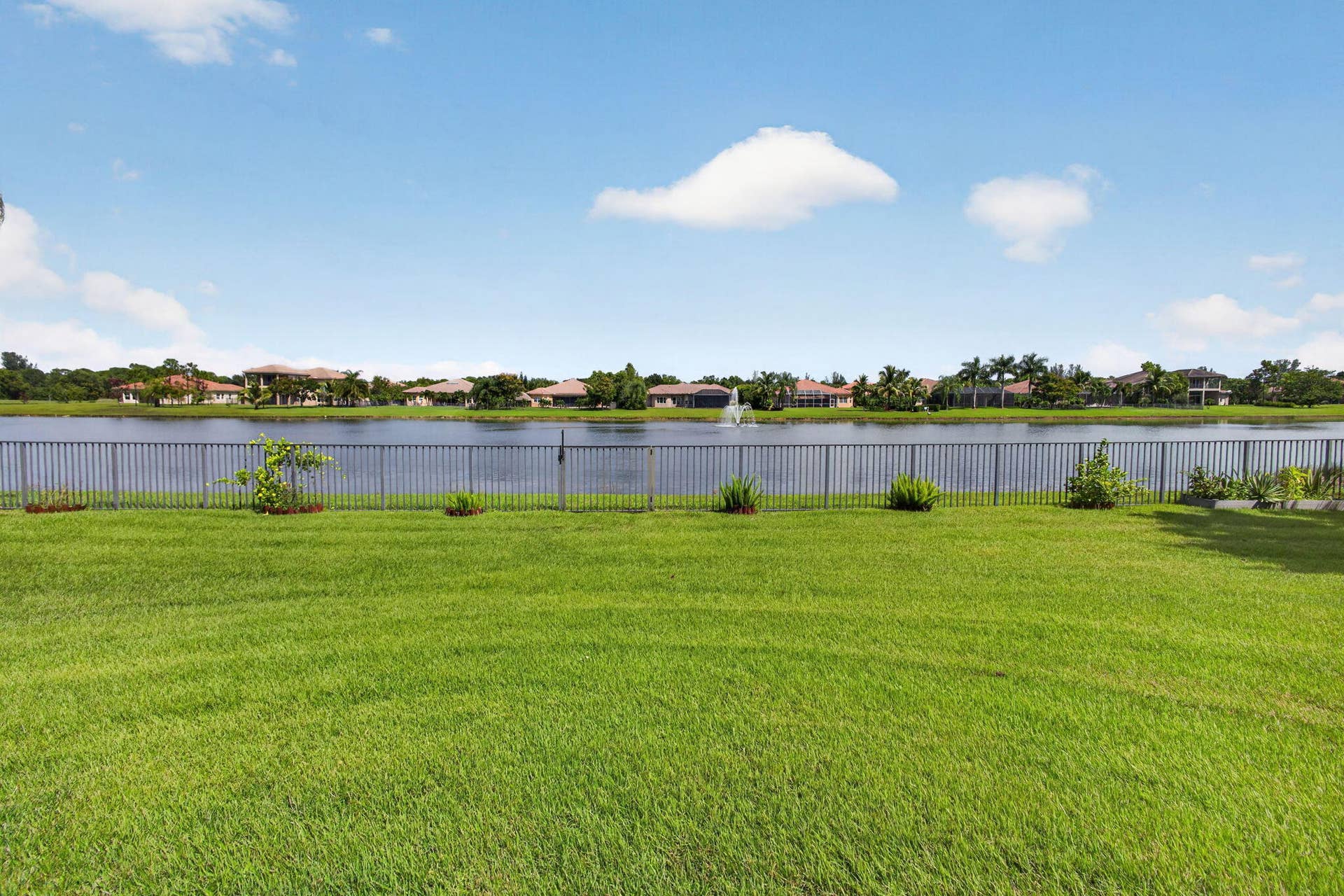93-web-or-mls-5D1A7192