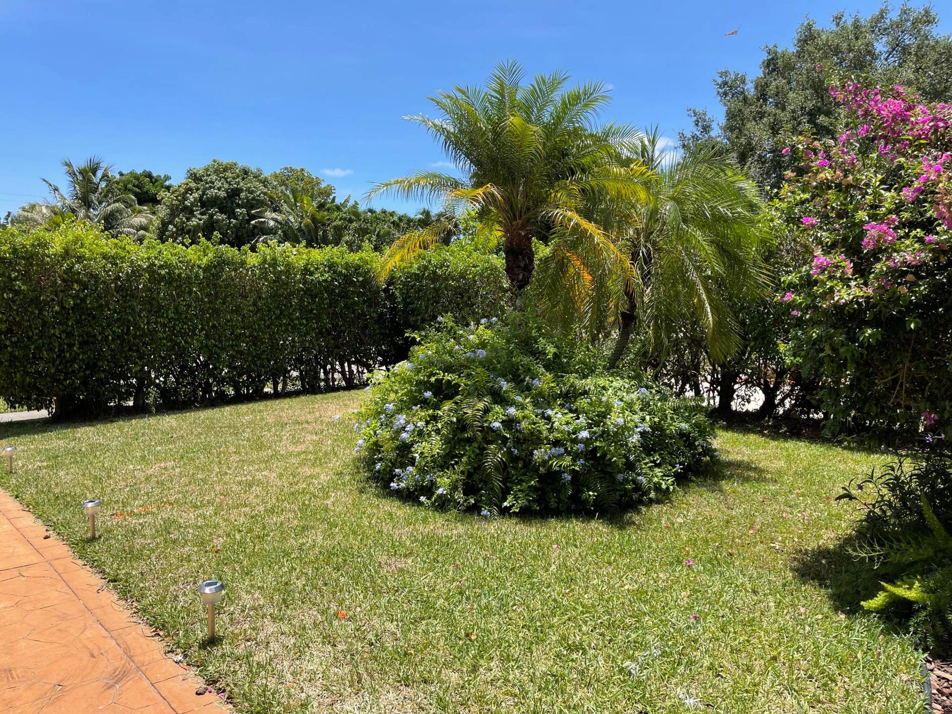 13-web-or-mls-5433-13