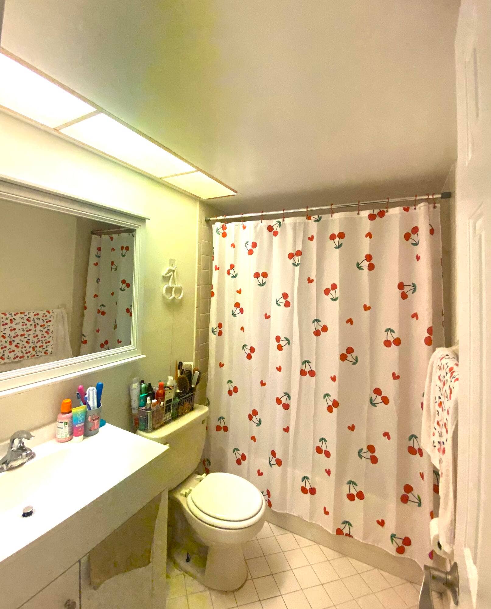 4177 OAK TERRACE Drive, #4177, Greenacres, Greenacres, FL 33463 bathroom