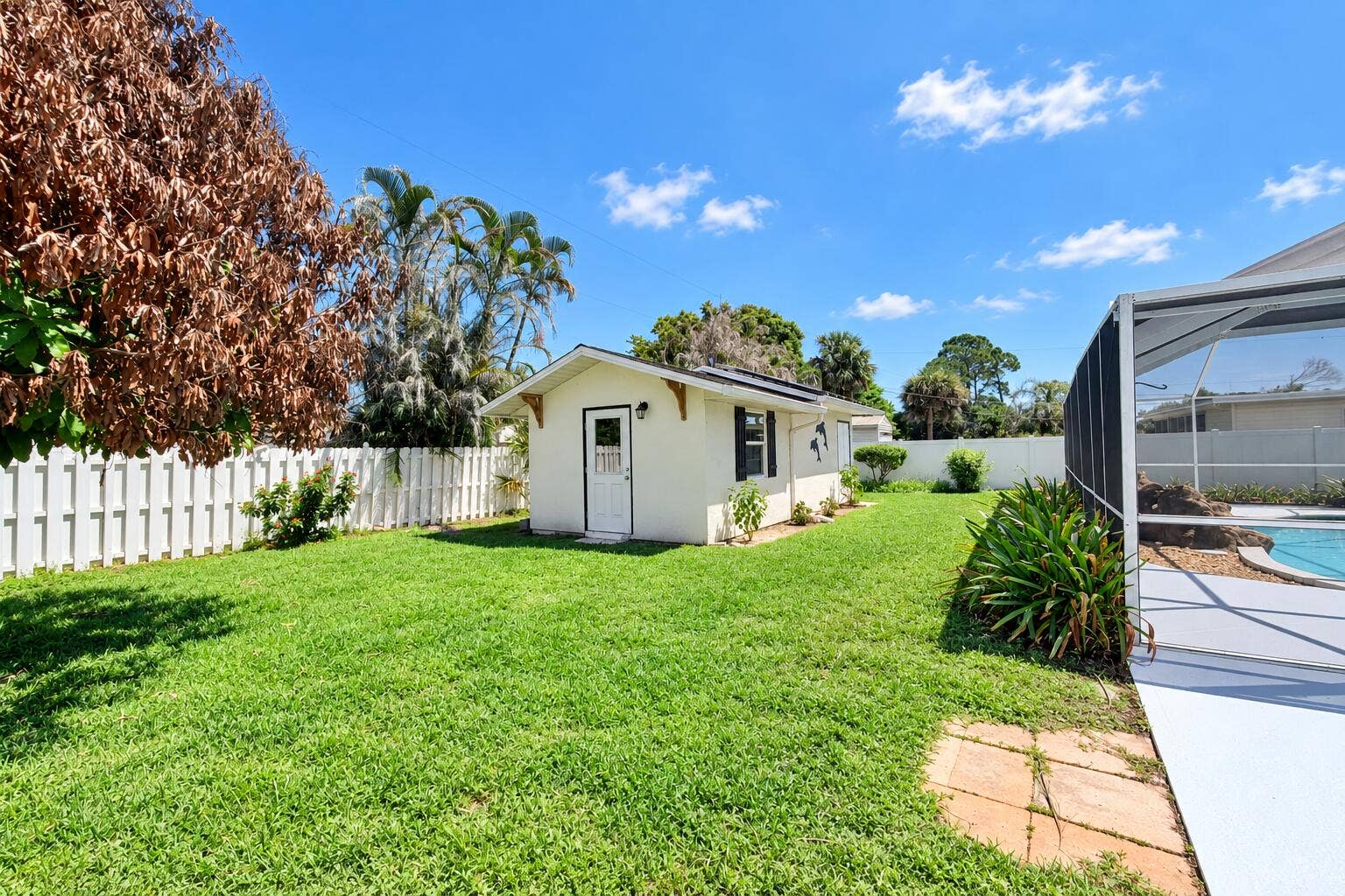 shed and yard