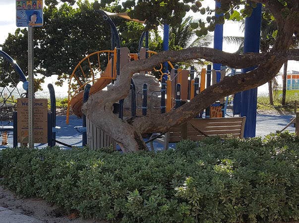 Play Areas