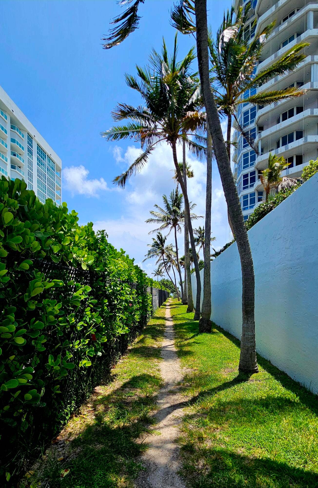 1461 S OCEAN Boulevard, #311, Lauderdale By The Sea, FL 33062 20260723_125018