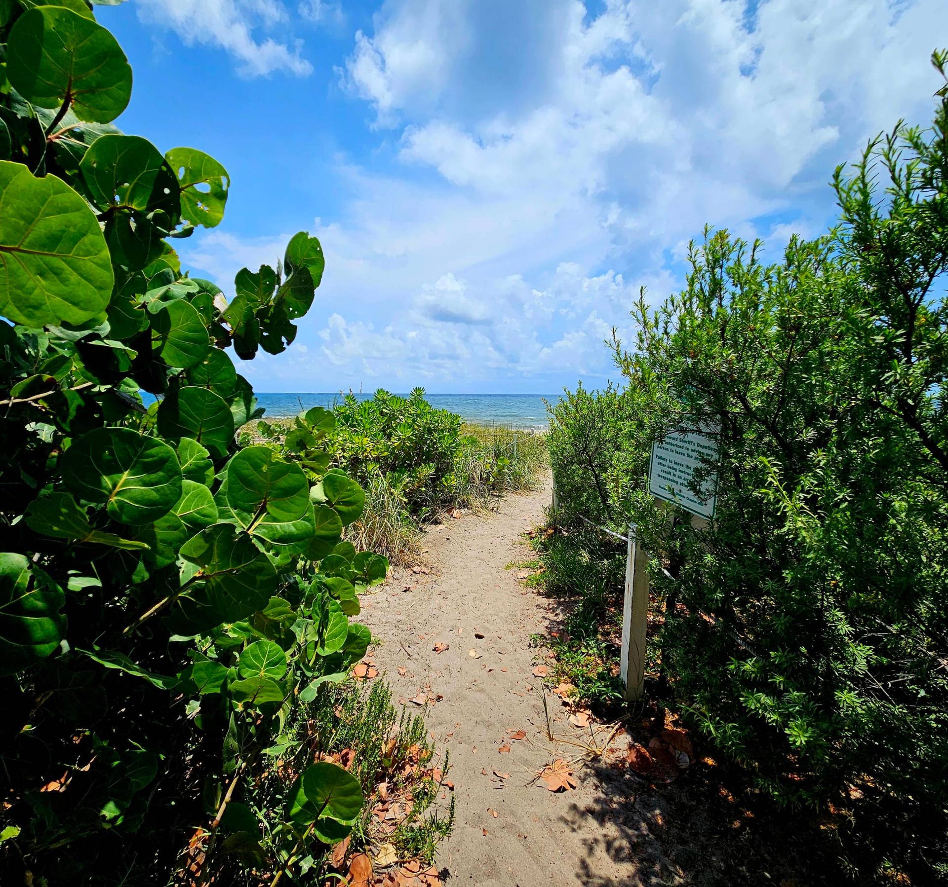 1461 S OCEAN Boulevard, #311, Lauderdale By The Sea, FL 33062 20260723_125136