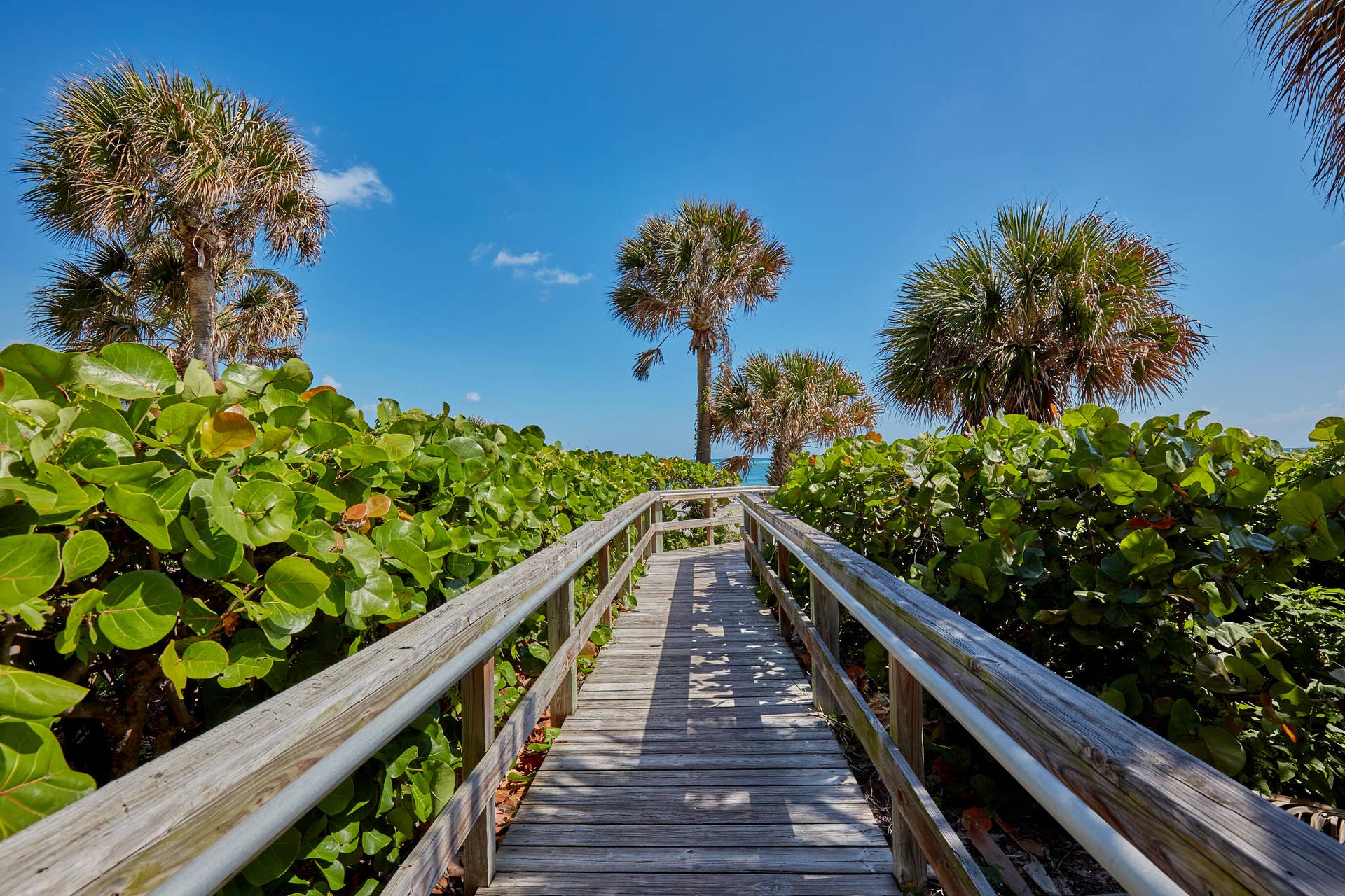 400 OCEAN TRAIL Way, #1208, Jupiter, Jupiter, FL 33477 Beach Path
