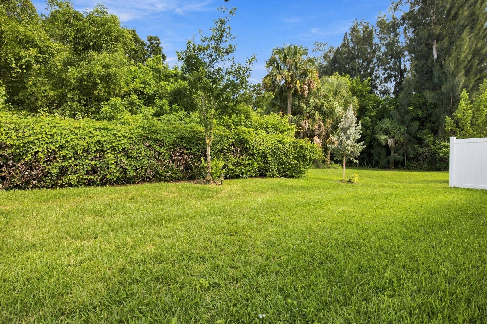 Large private backyard next the Jupiter reserve