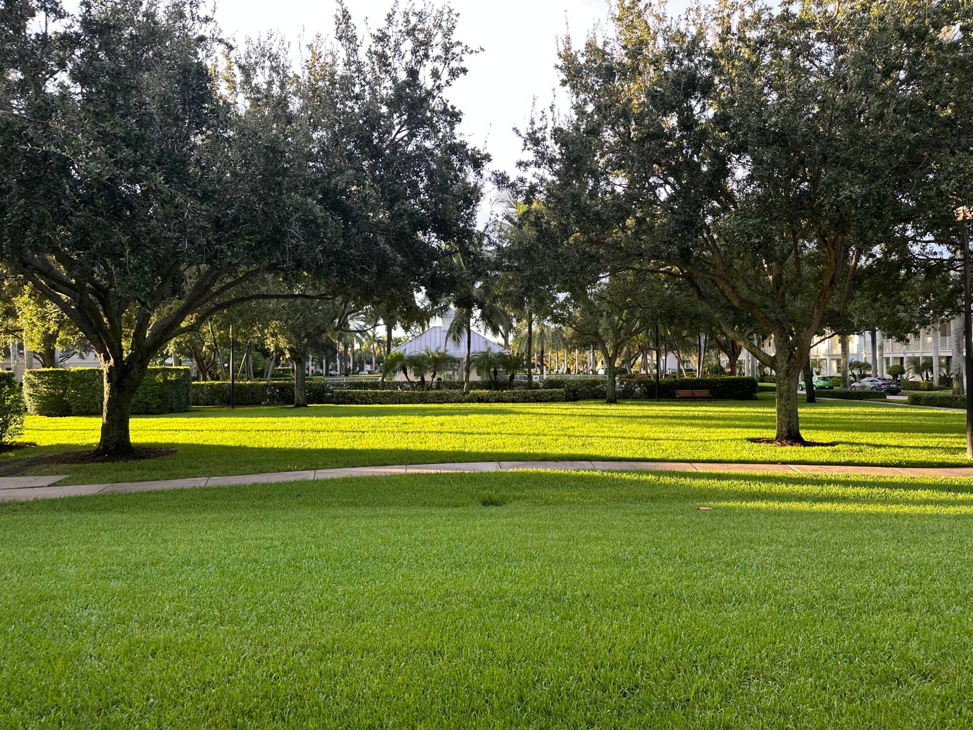 1454 S Jeaga Drive, Jupiter, Jupiter, FL 33458 Green Space