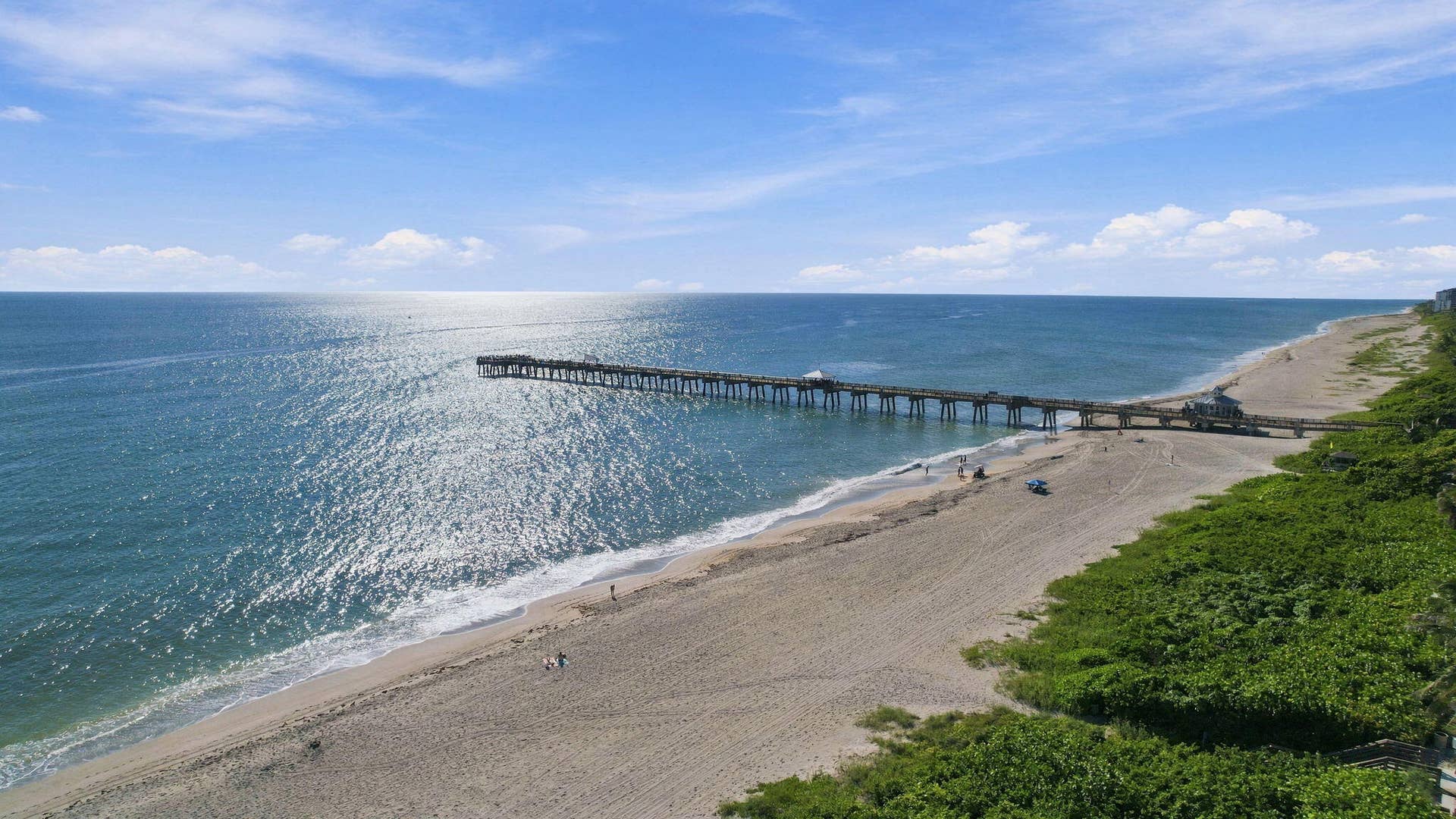 352 River Edge Road, Jupiter, FL 33477 Juno Pier