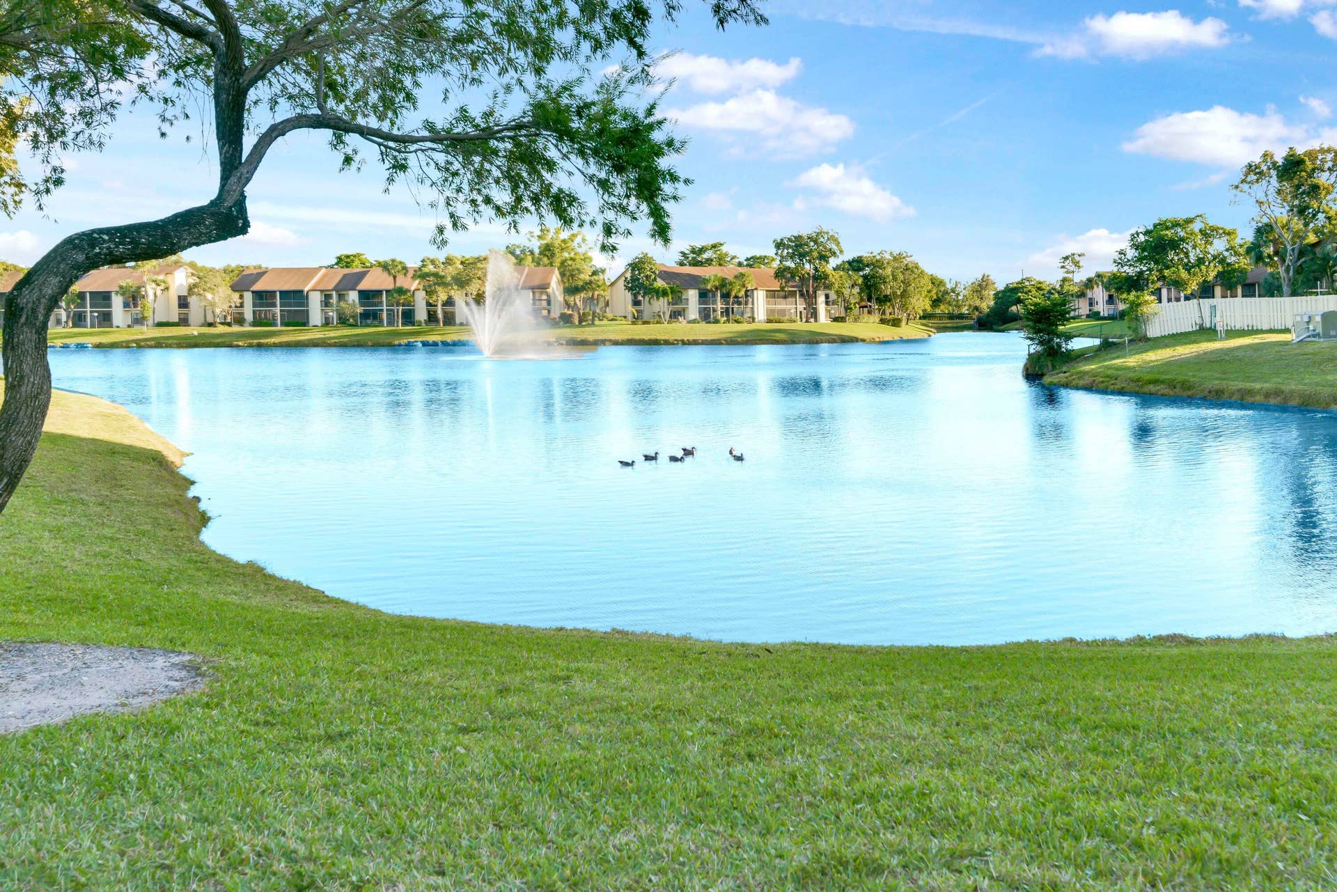 Lake