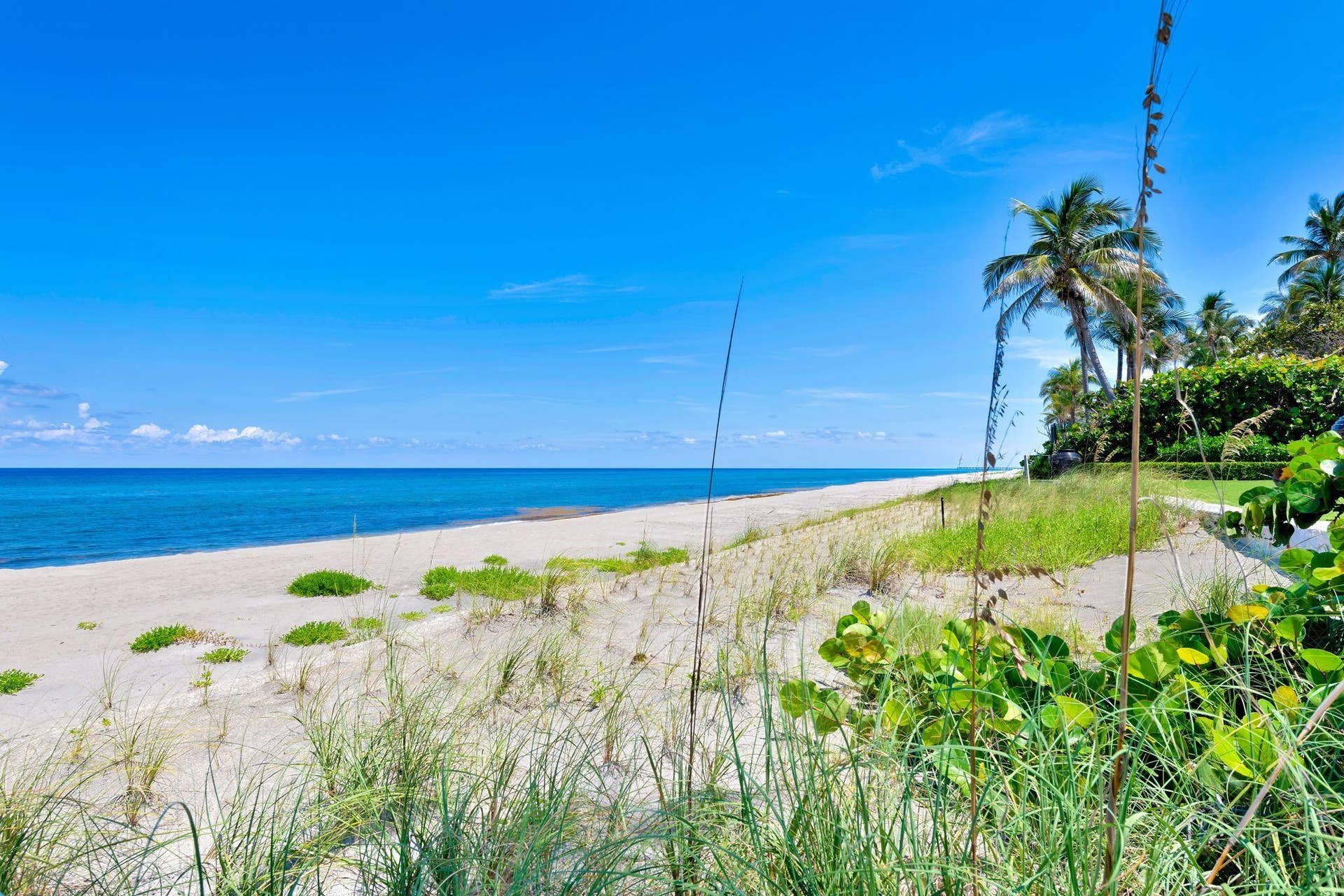 2295 S Ocean Boulevard, #517, Palm Beach, FL 33480 2295-S-Ocean-Blvd-Apt-517-PB-MLS-009