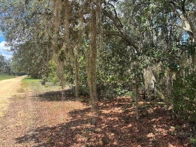Property photo for 0 Hurley Street, Interlachen, FL