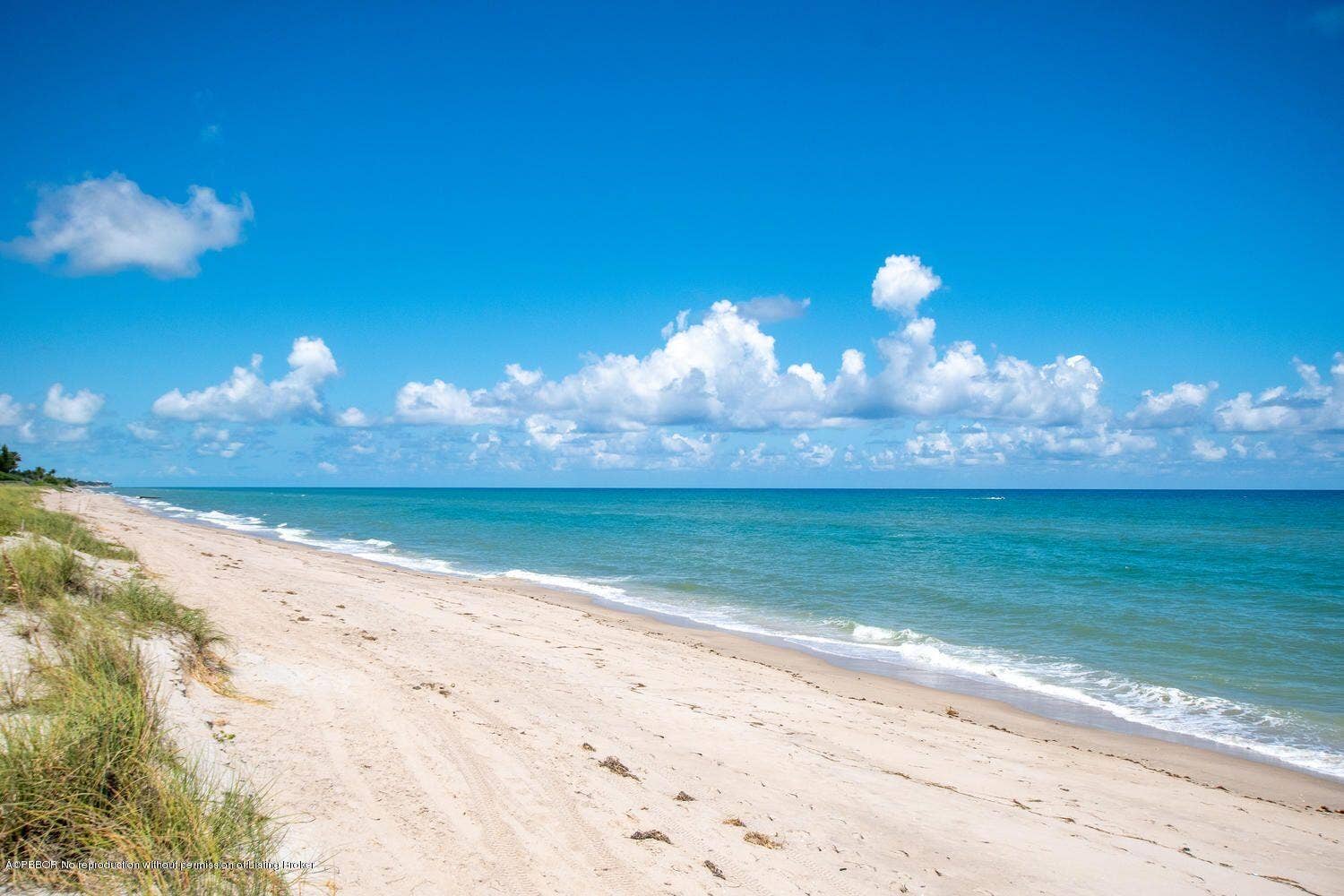 2000 S OCEAN Boulevard, #204S, Palm Beach, FL 33480 BEACH