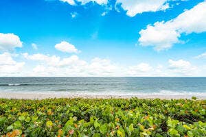 2000 S OCEAN Boulevard, #204S, Palm Beach, FL 33480 2000 110s exterior 2