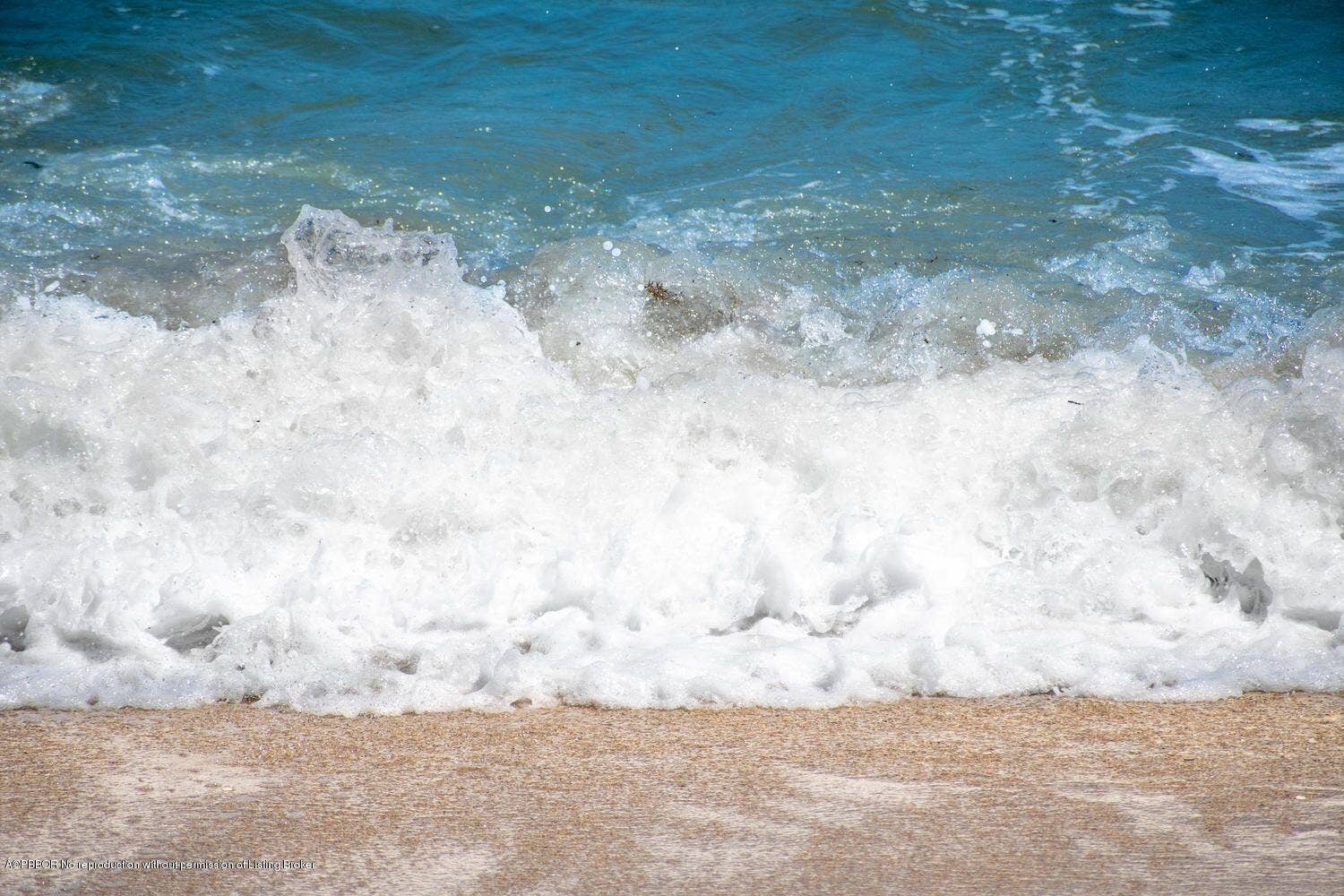 2000 S OCEAN Boulevard, #204S, Palm Beach, FL 33480 OCEAN