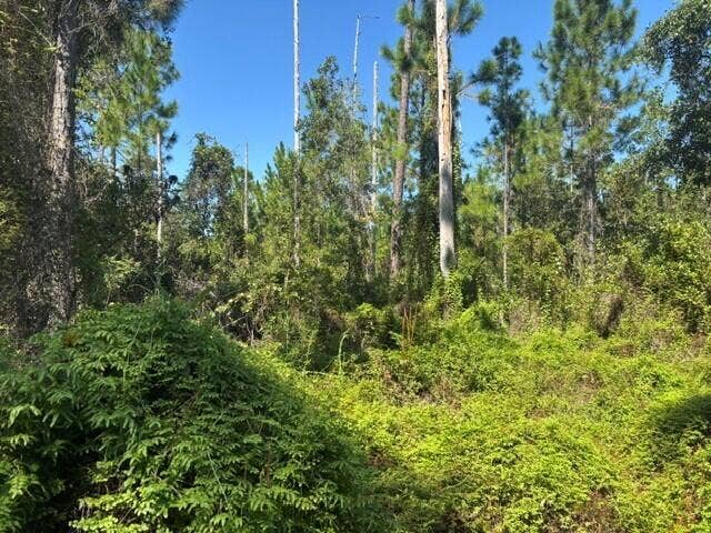 Property photo for 0 Hwy 630e, Frostproof, FL