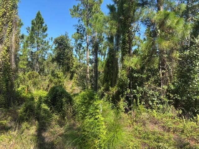 Property photo for 0 Hwy 630e, Frostproof, FL