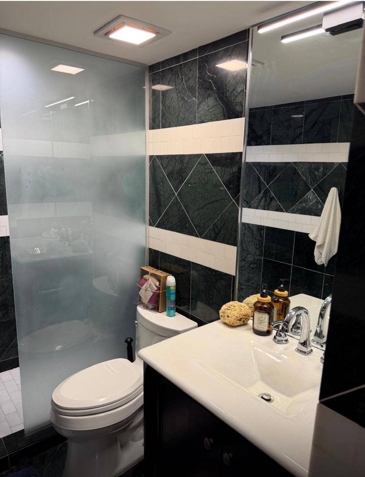 4291 S PINE ISLAND Road, Davie, FL 33328 Bathtoom