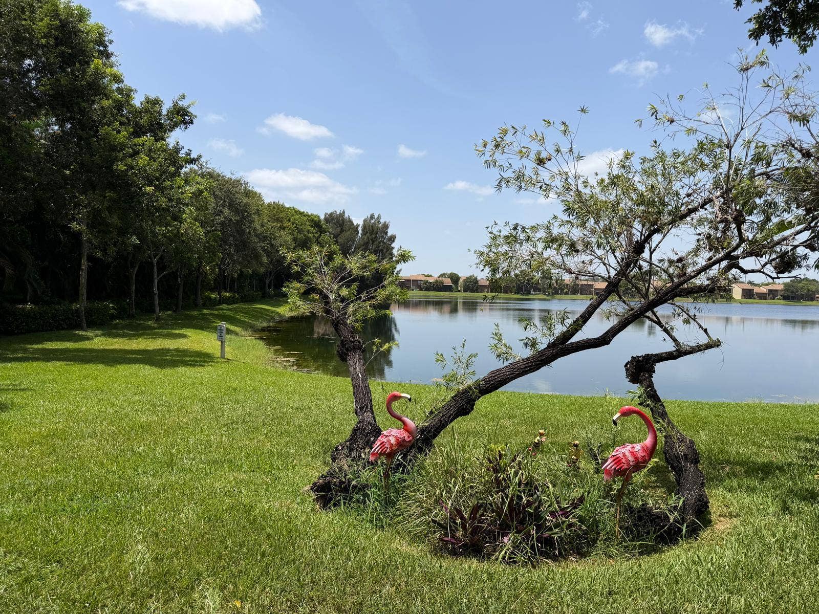 4291 S PINE ISLAND Road, Davie, FL 33328 Lake view , fully furnished