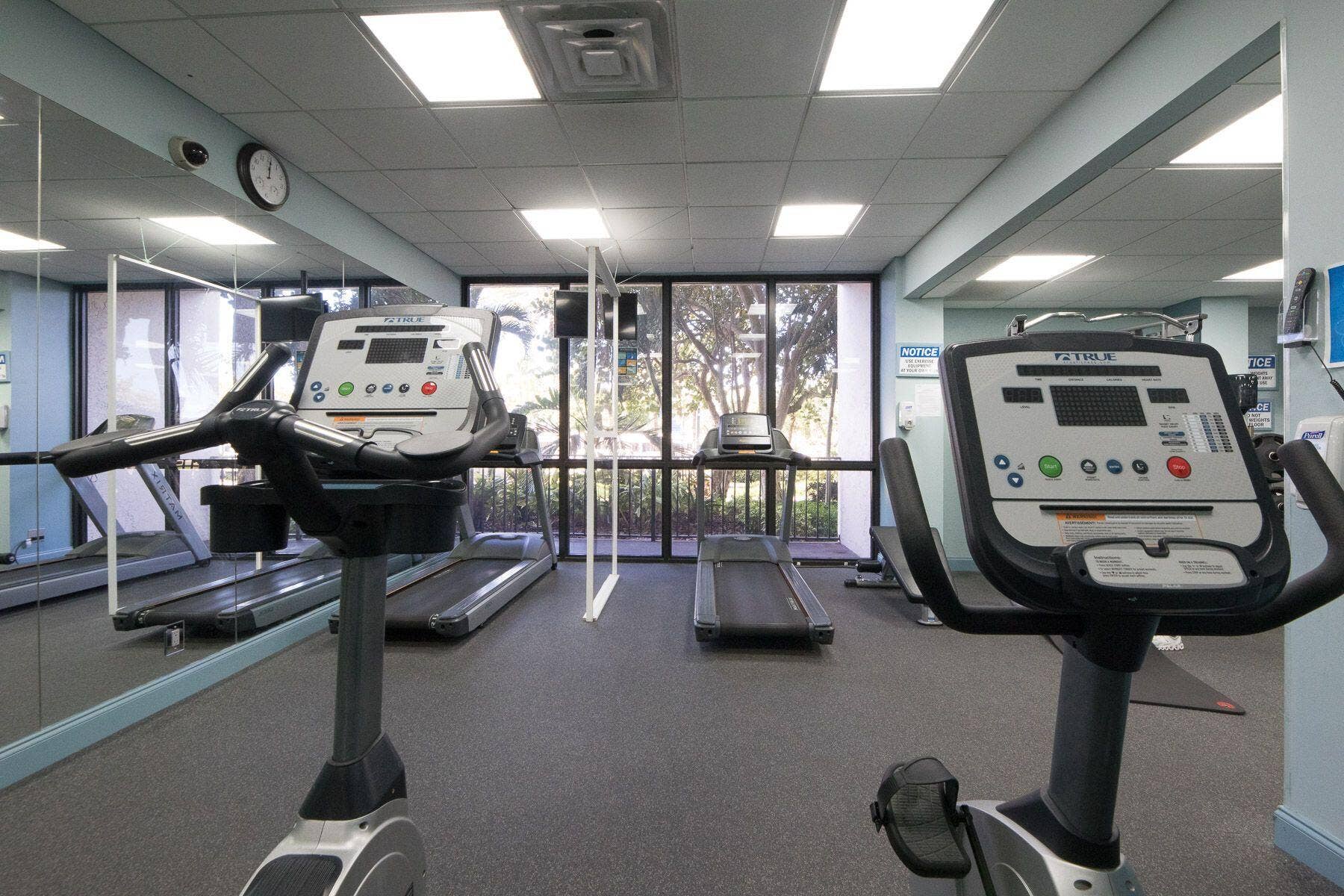 GYM