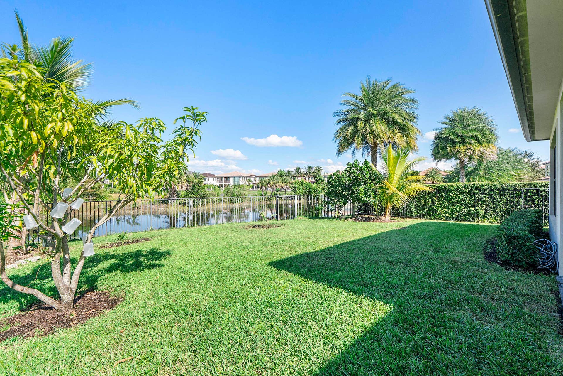 11425 WATERCREST Circle E, Parkland, FL 33076 #31 Back