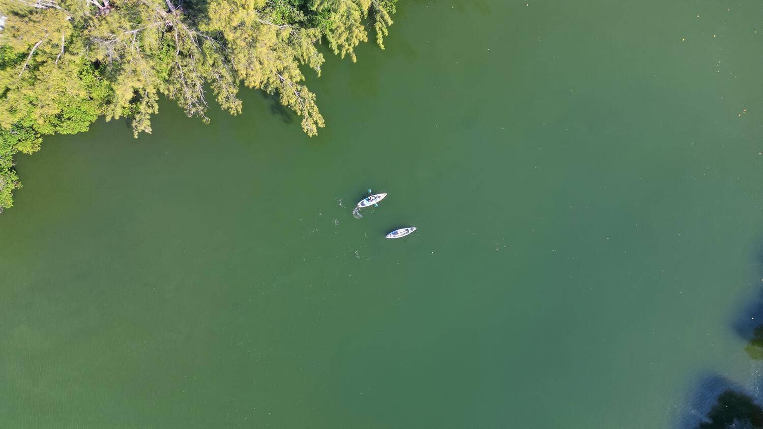 kayaking outside your patio