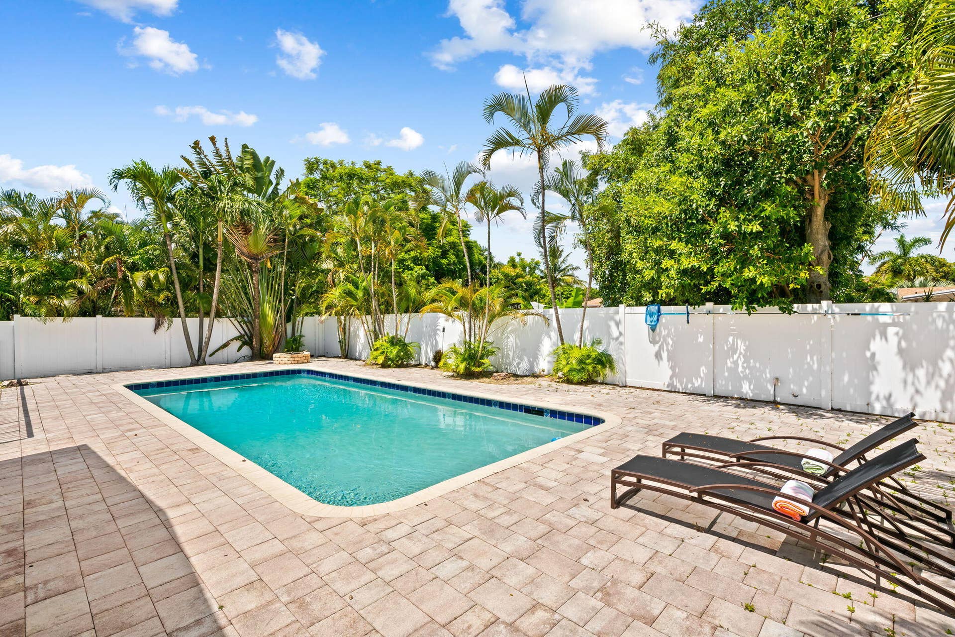 Rectangular swimming pool surrounded by paver decking, white privacy fencing, and mature tropical landscaping
