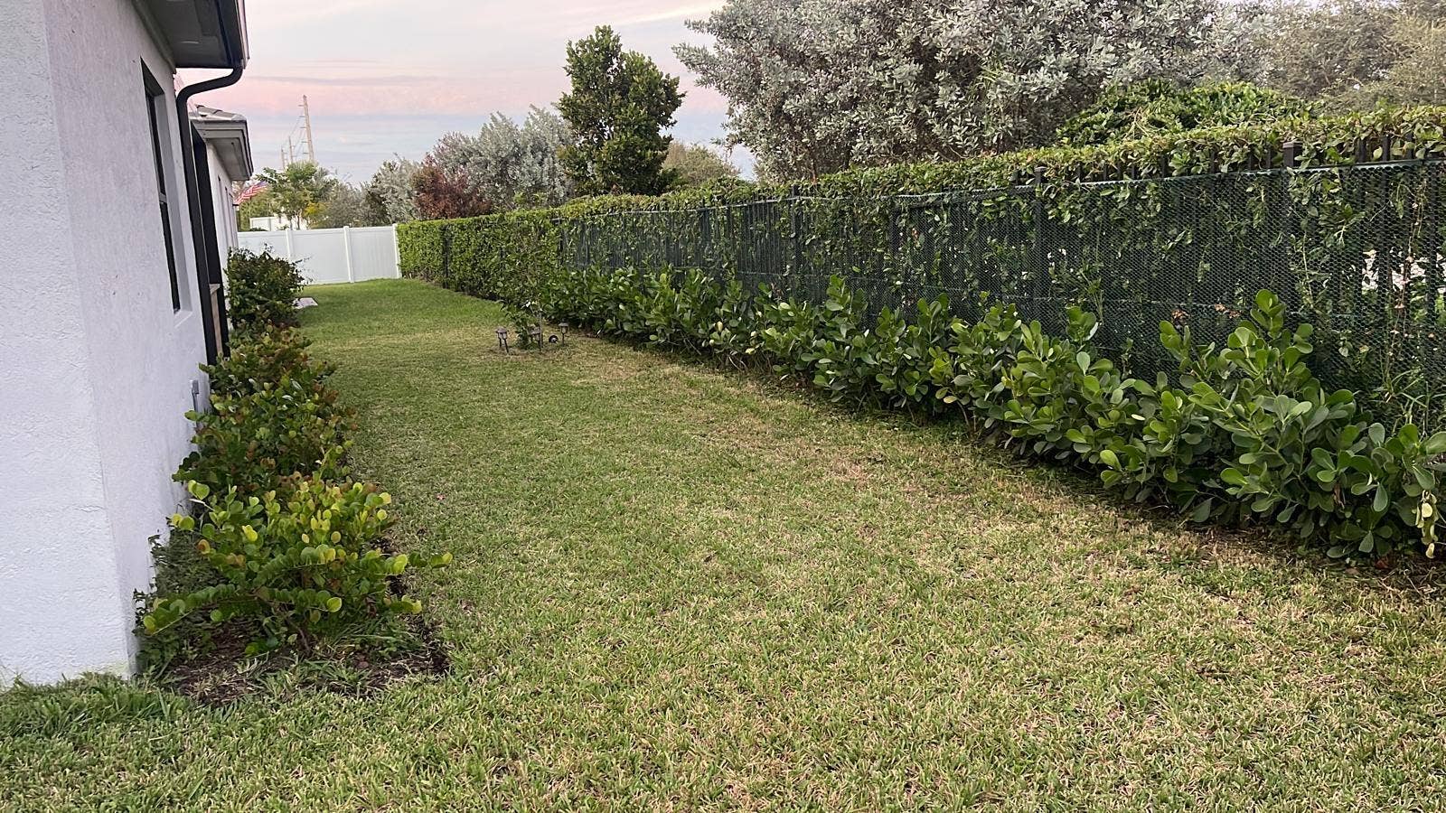 4149 SW 173rd Avenue, Miramar, FL 33029 Back Yard View 2