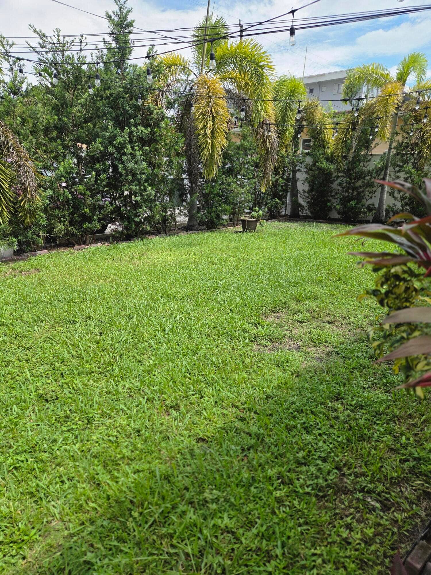 1839 PLUNKETT Street, #2, Hollywood, Hollywood, FL 33020 161033