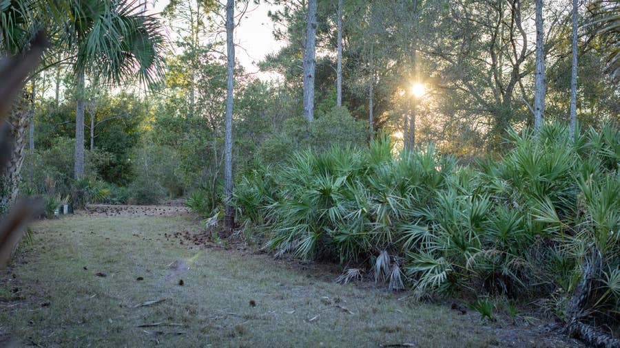 Property photo for 32801 US HIGHWAY 441 N, #250, Okeechobee, FL
