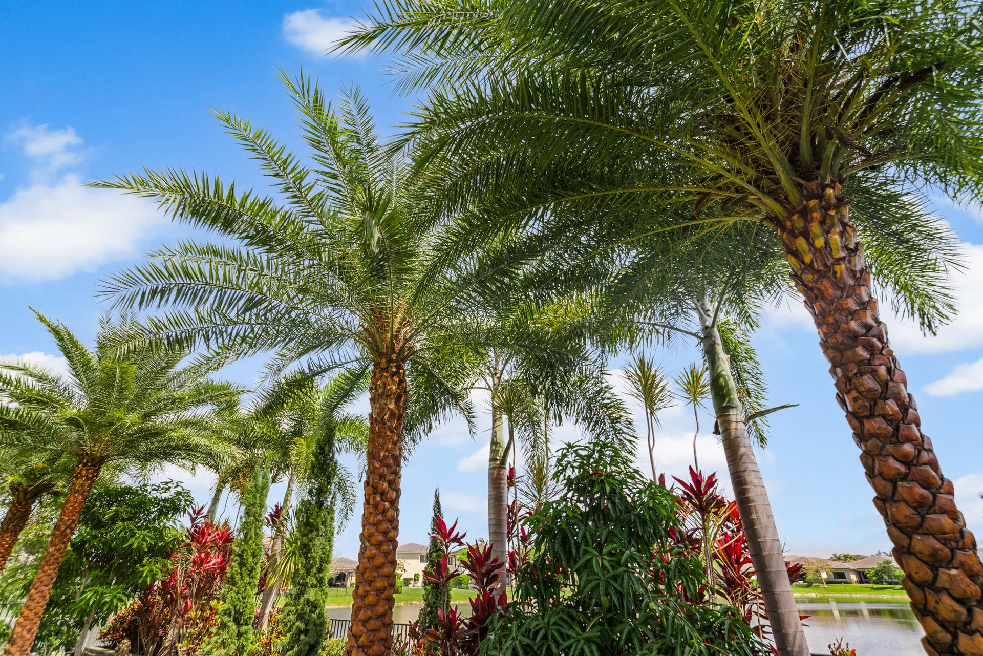 10768 AZUL Lane, Parkland, Parkland, FL 33076 A7_02495