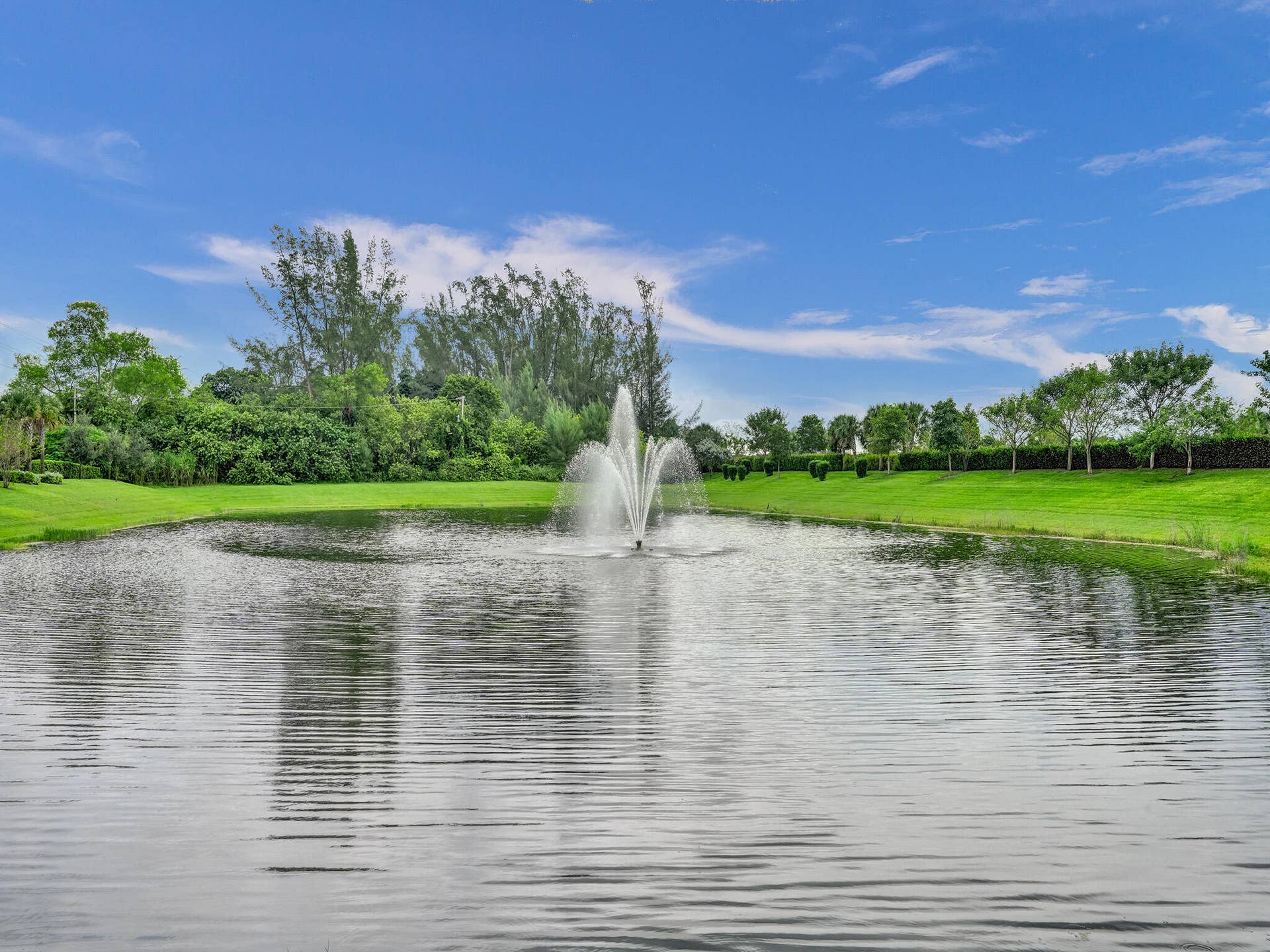 8334 W Blue Spring Drive, Parkland, FL 33067 DSC02268