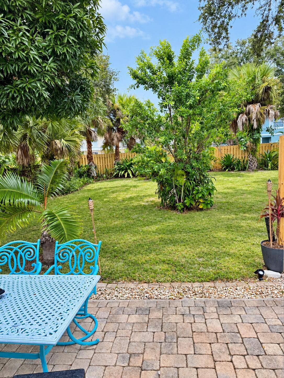 backyard with AI grass