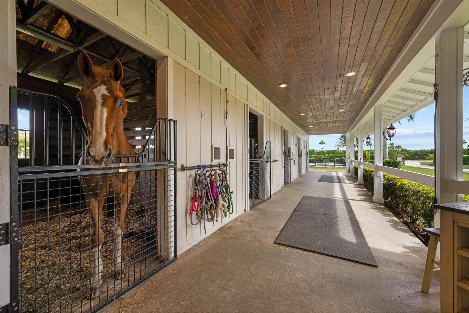 5995 130TH Avenue S, Wellington, FL 33449 39-DSC_5632