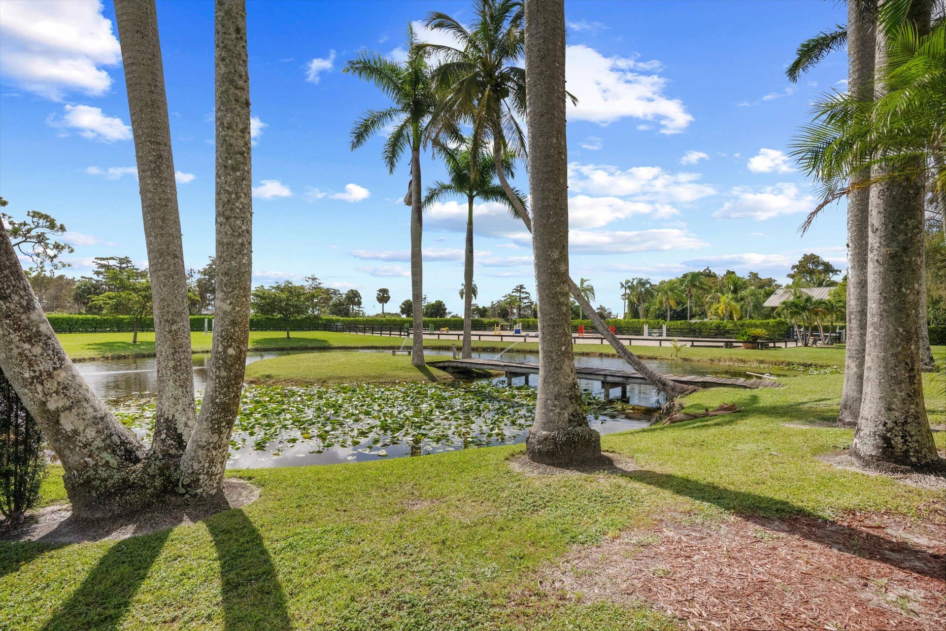 5995 130TH Avenue S, Wellington, FL 33449 45-DSC_5686