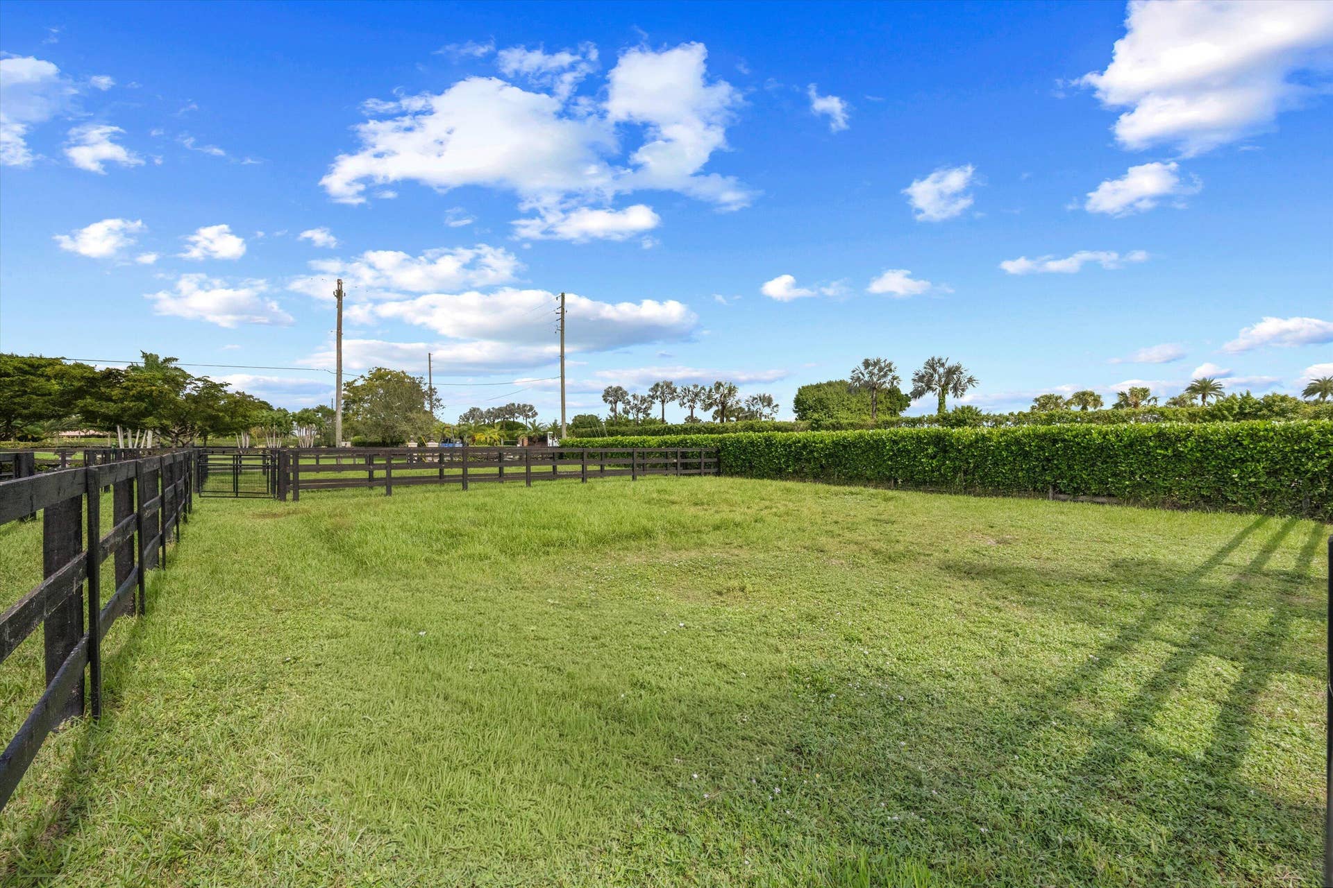 5995 130TH Avenue S, Wellington, FL 33449 44-DSC_5644