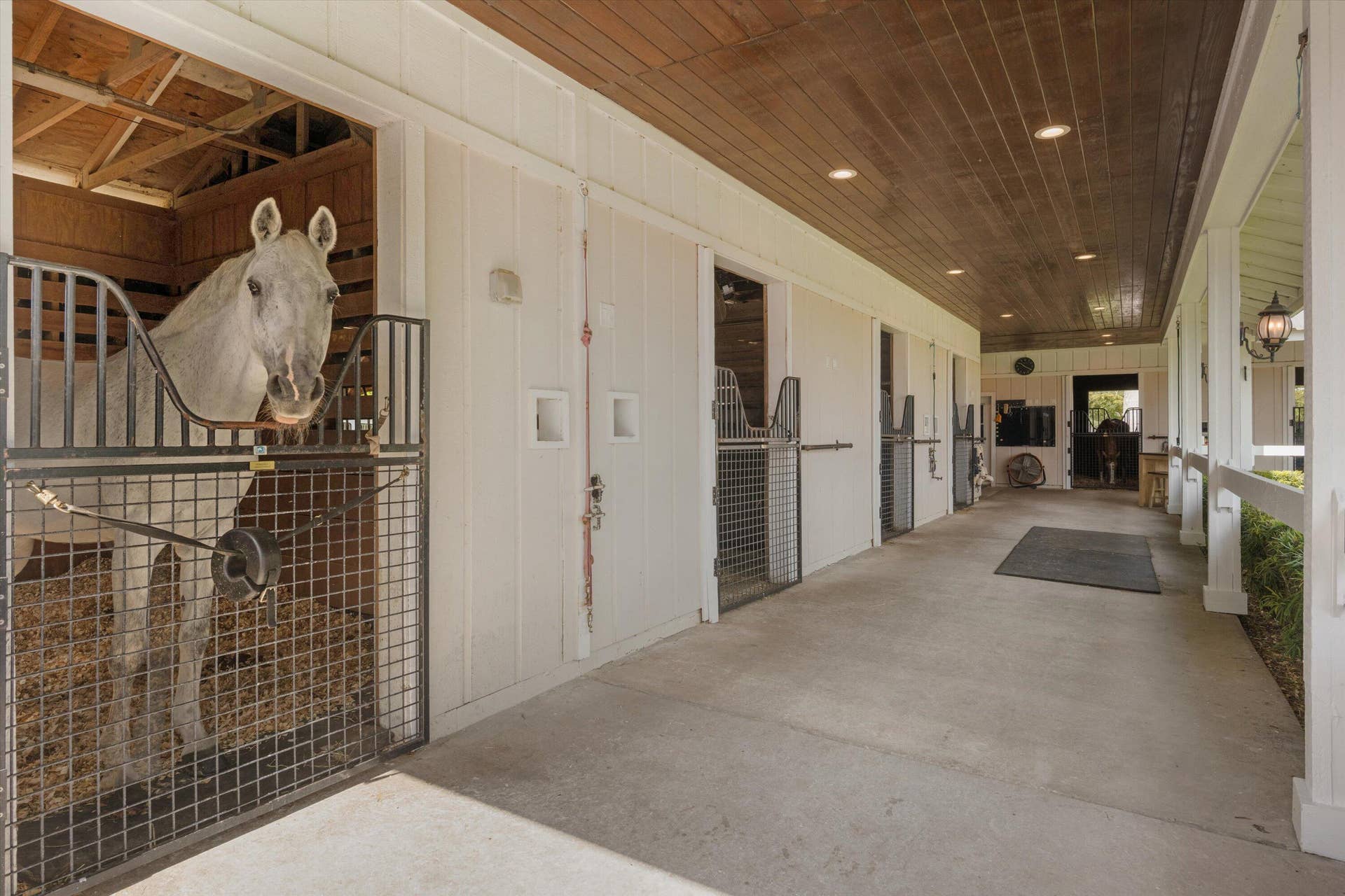 5995 130TH Avenue S, Wellington, FL 33449 38-DSC_5608